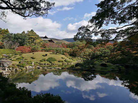         Japanese garden with beautiful trees and a lake view -  A must see of your 7-day Tokyo itinerary if you're wondering what to do in Tokyo, Japan for a week
