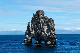 Rhino shaped rock in the middle of the ocean in Iceland